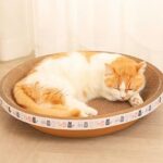 Cama Rascador para Gatos - Círculo de Cartón Corrugado