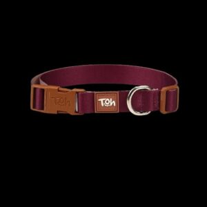 Collar Toh Classic - Bordó con Hebilla Marrón