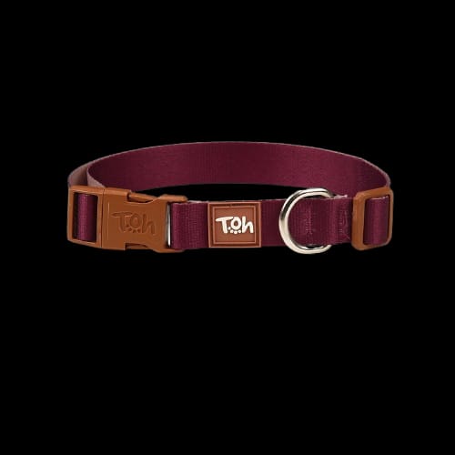 Collar Toh Classic - Bordó con Hebilla Marrón