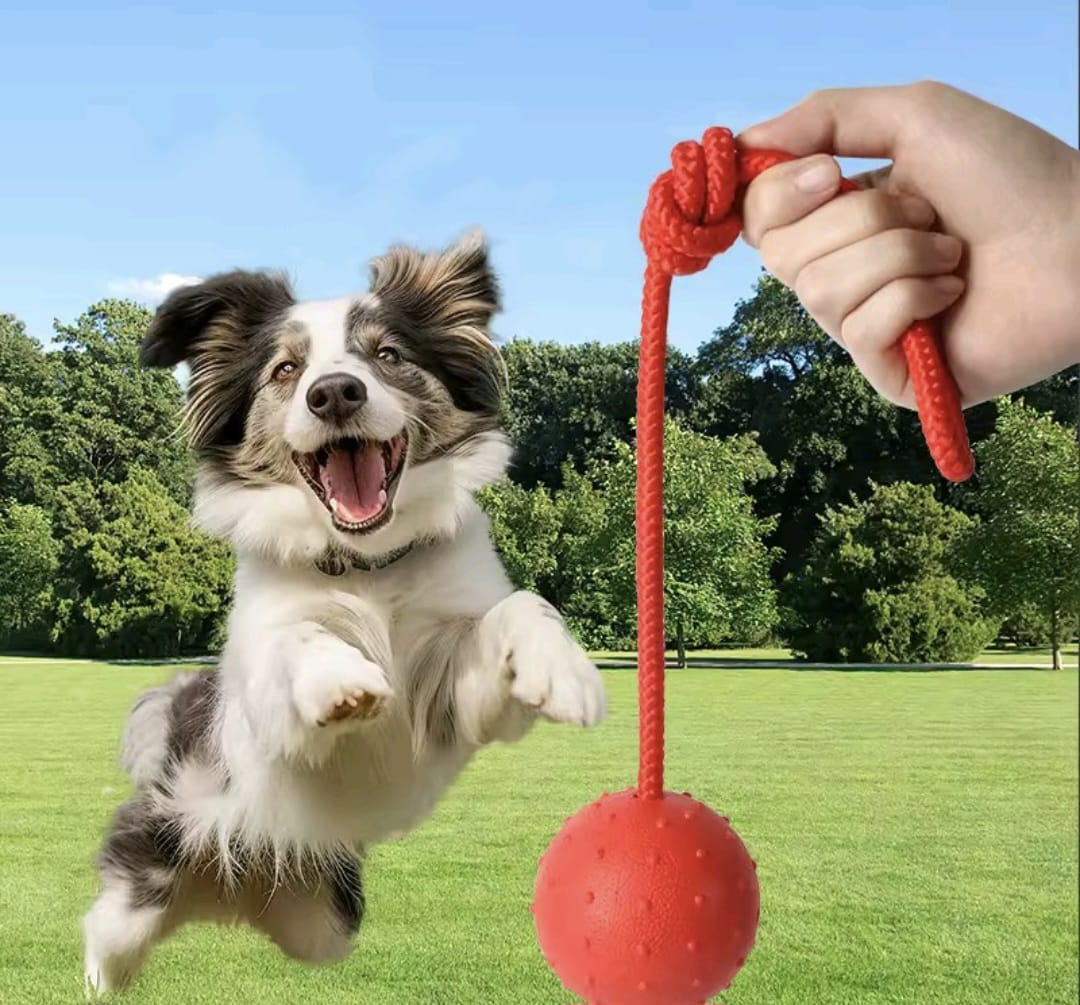 Pelota de Goma para Perro con Soga - Juguete para Lanzar y Morder