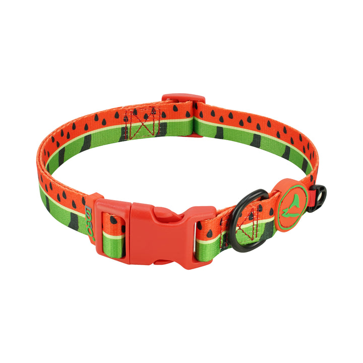 Collar Ajustable DOCO para Perros con Estampado de Sandía