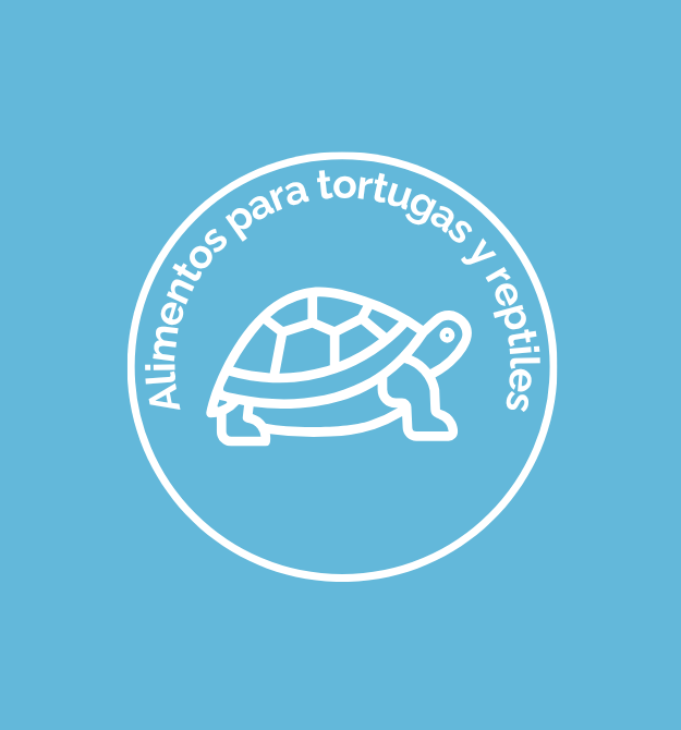 alimentos para tortugas y reptiles