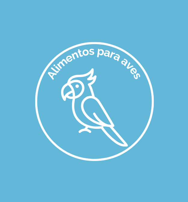 alimentos para aves