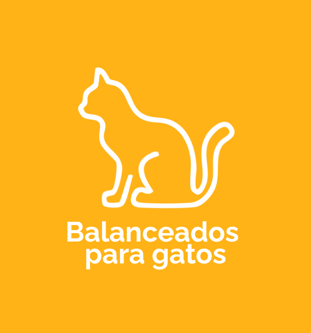 Zona de Gatos