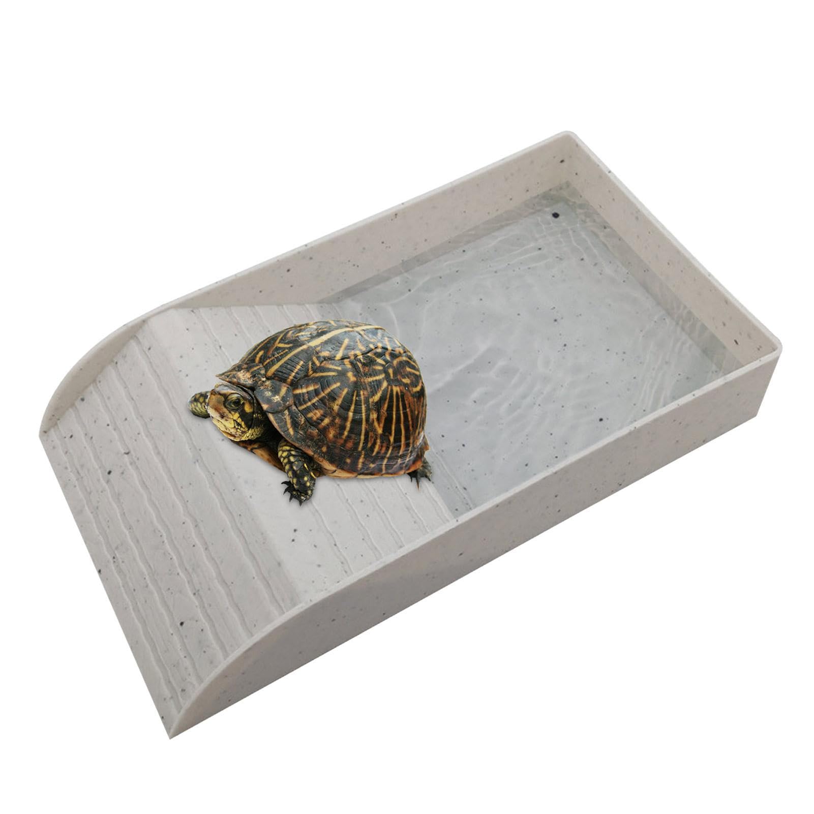 tortugas y reptiles prueba